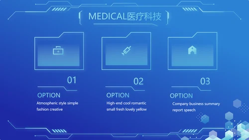 蓝色医疗科技信息化建设工作总结PPT