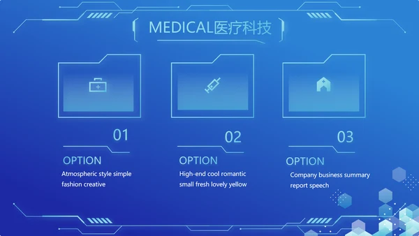 蓝色医疗科技信息化建设工作总结PPT