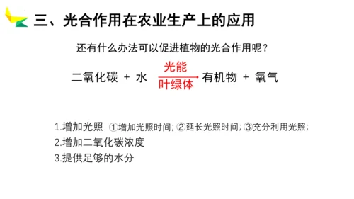 3.5.1 光合作用吸收二氧化碳释放氧气2023-2024学年七年级生物上册精品教学课件（人教版）(