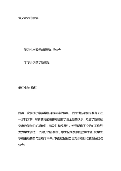初中数学新课标心得体会.docx