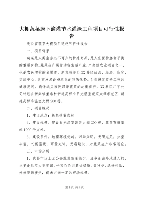 大棚蔬菜膜下滴灌节水灌溉工程项目可行性报告 (3).docx