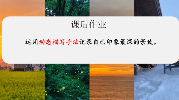《四季之美》