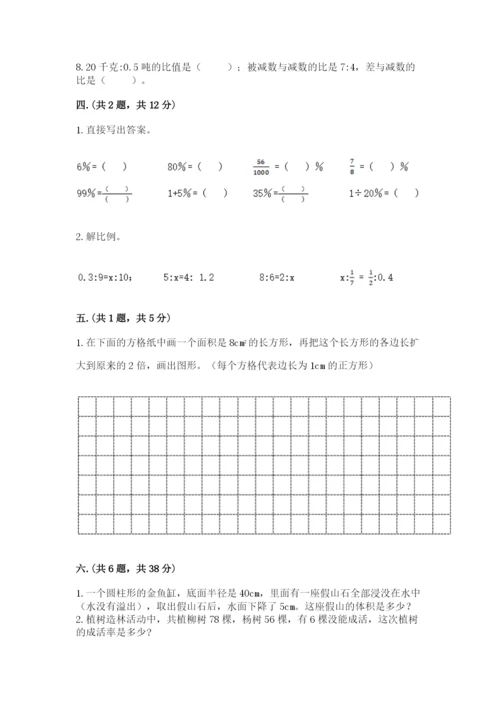 苏教版六年级数学小升初试卷精品（全优）.docx