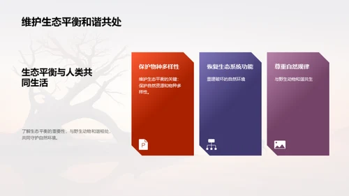 简约风其他行业教学课件PPT模板