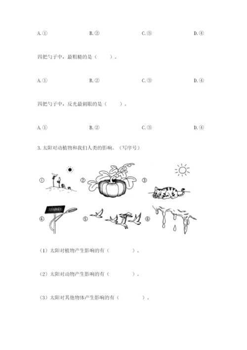 教科版二年级上册科学期末考试试卷及参考答案1套.docx