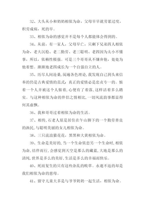 相依为命的近义词.docx