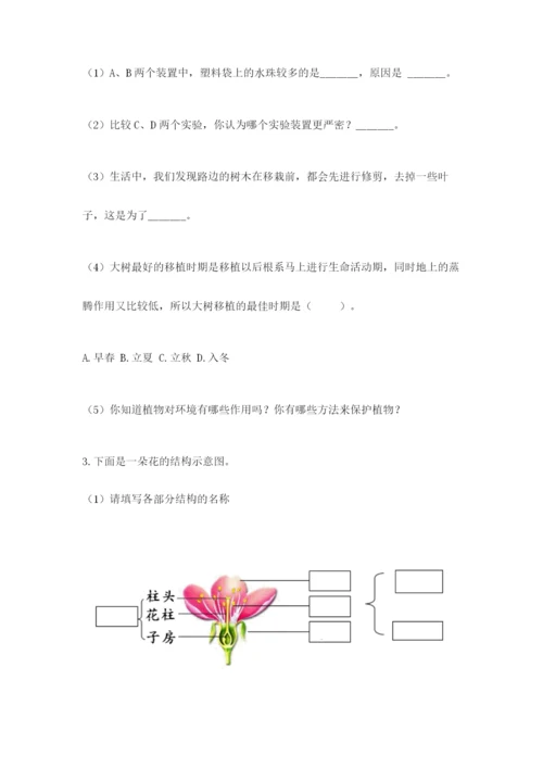 科学四年级下册第一单元植物的生长变化测试卷（考试直接用）.docx