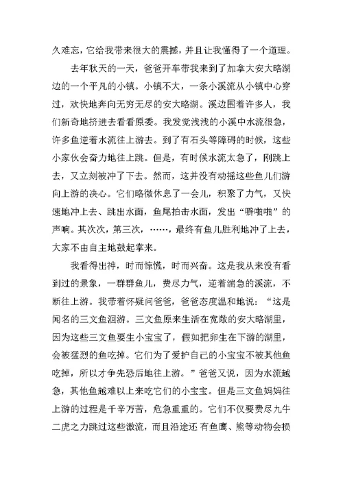 2022有关难忘话题作文集锦6篇
