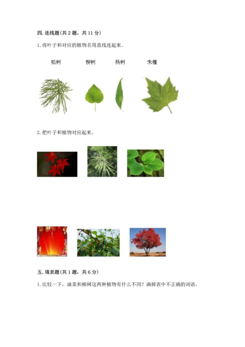 教科版科学一年级上册第一单元《植物》测试卷（培优a卷）.docx