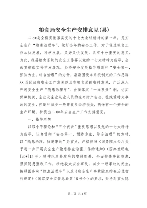 粮食局安全生产安排意见(县).docx