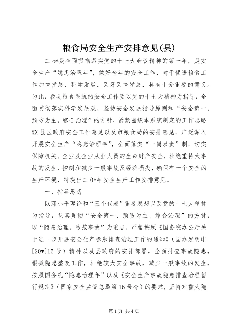 粮食局安全生产安排意见(县).docx