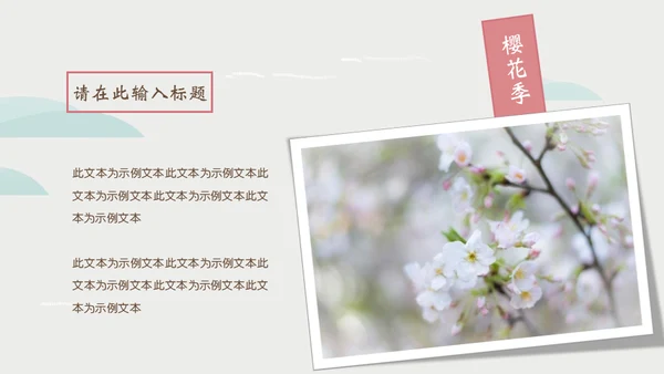 岛国之旅浪漫樱花季通用PPT模板