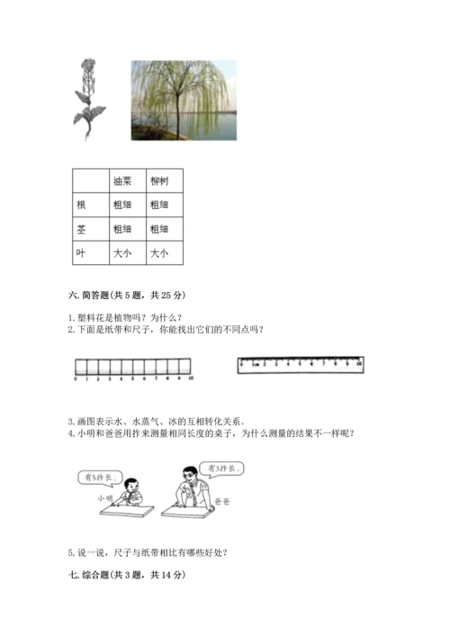 教科版一年级上册科学期末测试卷含完整答案【全国通用】.docx