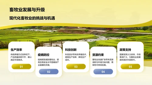 黄色摄影风乡村振兴PPT模板