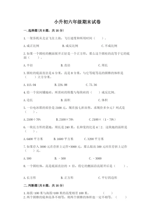 小升初六年级期末试卷【典优】.docx