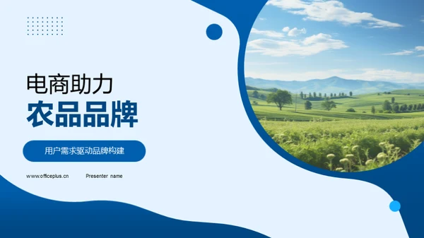 电商助力农品品牌