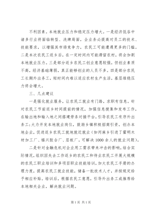农民工返乡情况调研报告.docx