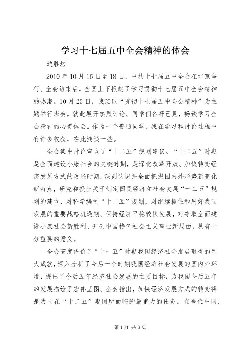 学习十七届五中全会精神的体会.docx