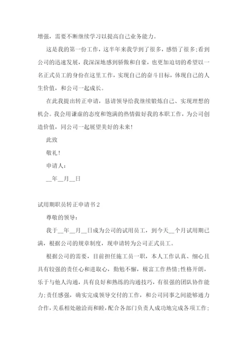 试用期转正评估报告.docx