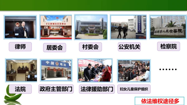 9《知法守法  依法维权》第3课时（课件）