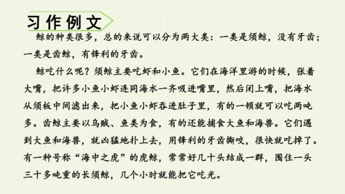 部编版 五年级语文上册第五单元习作例文 《鲸》（课件）
