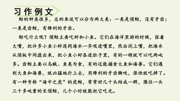 部编版 五年级语文上册第五单元习作例文 《鲸》（课件）