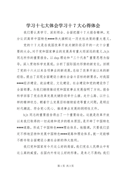 学习十七大体会学习十7大心得体会.docx