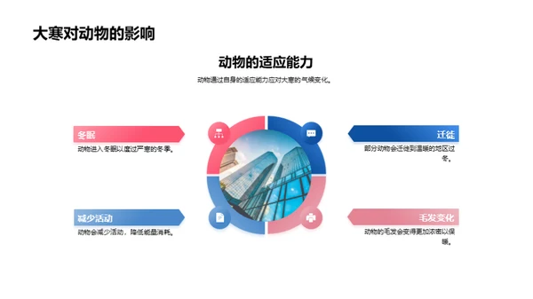 大寒节气气候解析