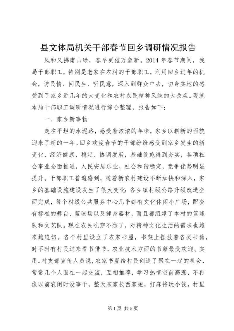 县文体局机关干部春节回乡调研情况报告.docx