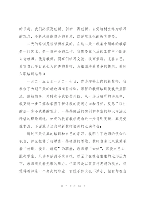 教师入职培训总结10篇.docx