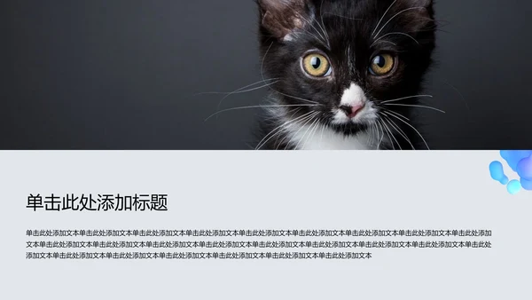 蓝灰色简约风大学生自我介绍PPT模板