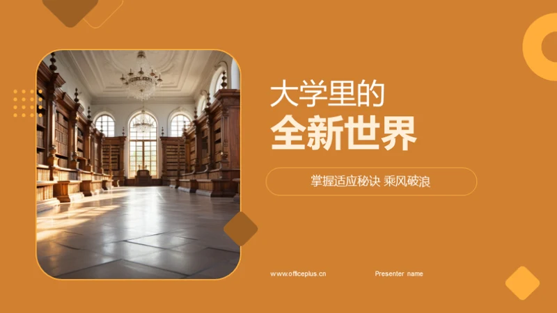 大学里的全新世界