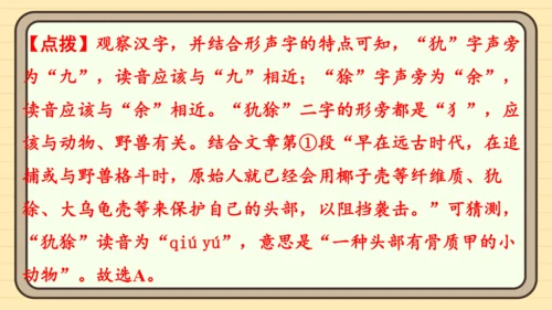 统编版语文六年级上册主题八　科学智慧 阅读与写作指导课件