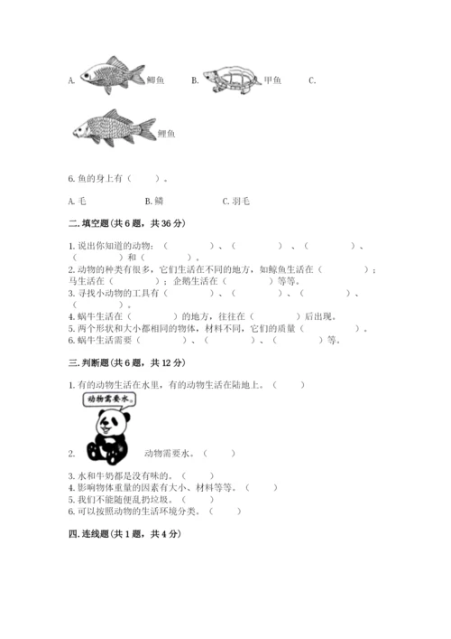 教科版一年级下册科学期末测试卷附参考答案【培优a卷】.docx