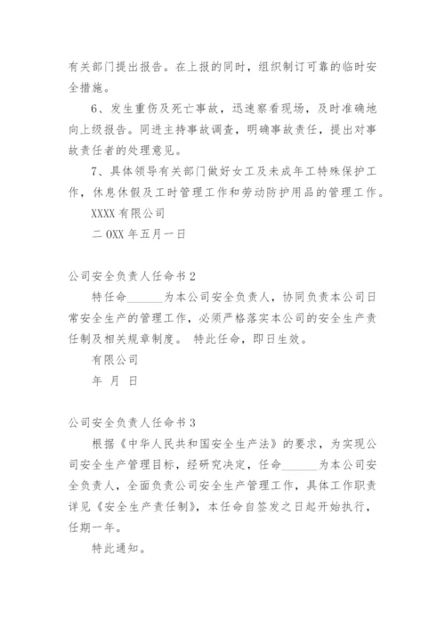 公司安全负责人任命书.docx