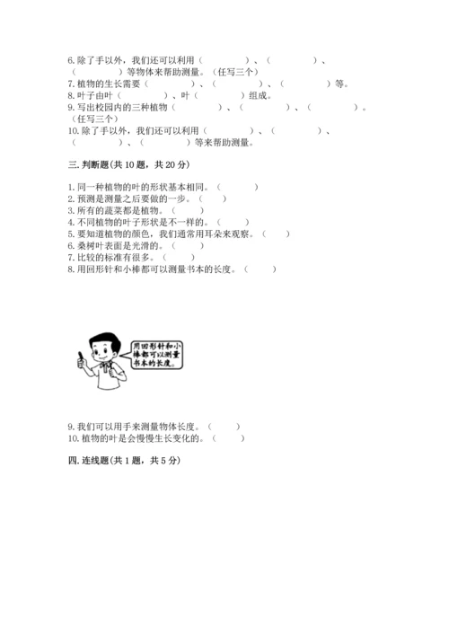 教科版一年级上册科学期末测试卷附答案【巩固】.docx