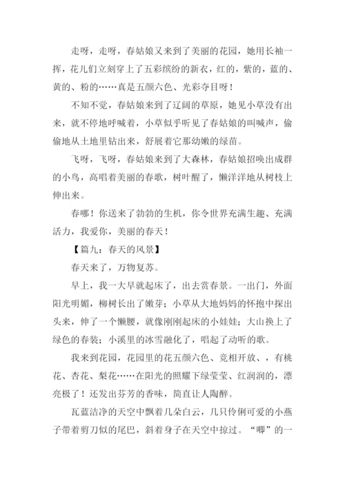 春天的风景作文300字.docx