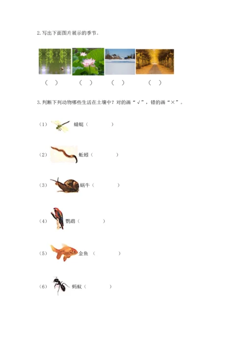 教科版二年级上册科学期末测试卷精品（全优）.docx