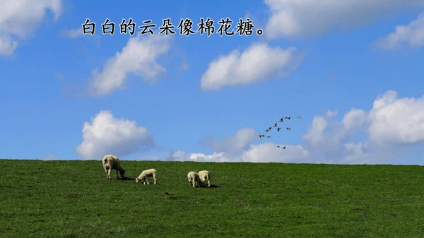 统编版语文二年级上册 课文3  语文园地四（课件）