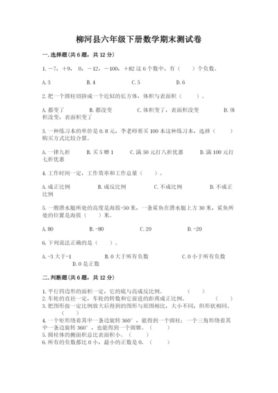 柳河县六年级下册数学期末测试卷及参考答案一套.docx