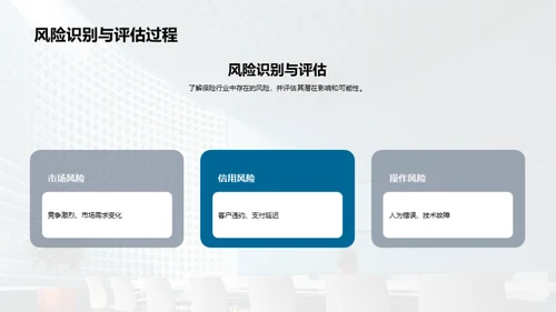 保险风险管理优化