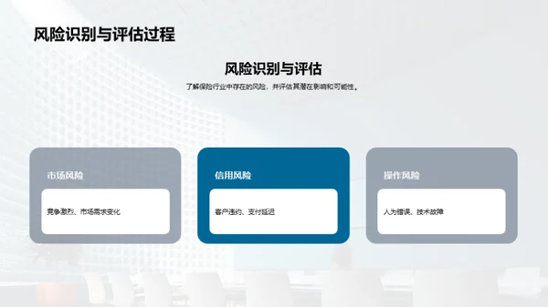 保险风险管理优化