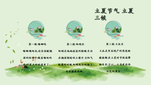 立夏二十四节气通用PPT模板