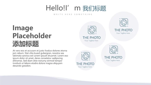 法律总结动态PPT