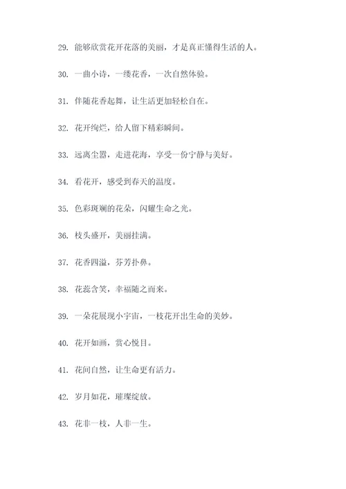 云赏花宣传标语