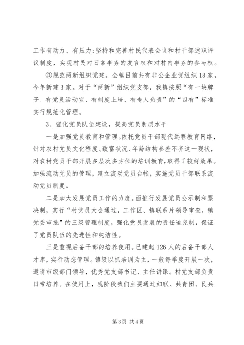 务虚会发言材料党建.docx