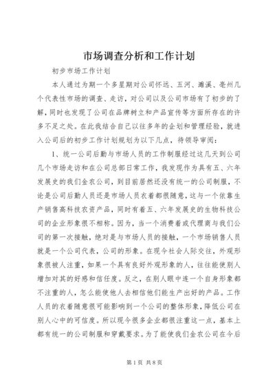 市场调查分析和工作计划.docx