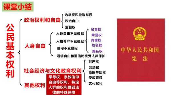 【新课标】3.1 公民基本权利 课件【2024年春新教材】（38张ppt）