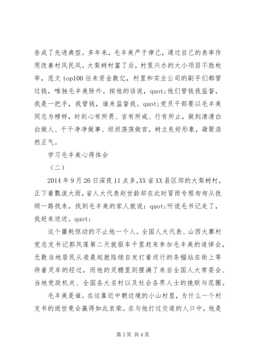 学习毛丰美同志先进事迹报告会心得体会3篇.docx