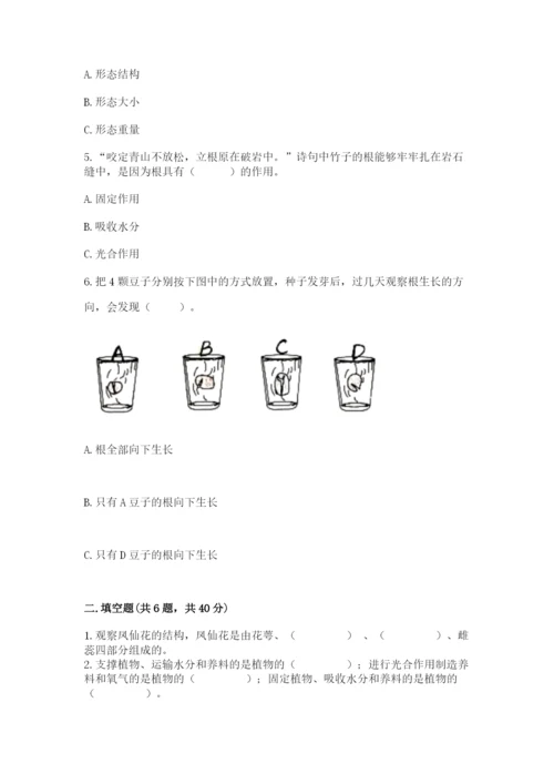 科学四年级下册第一单元植物的生长变化测试卷（必刷）.docx